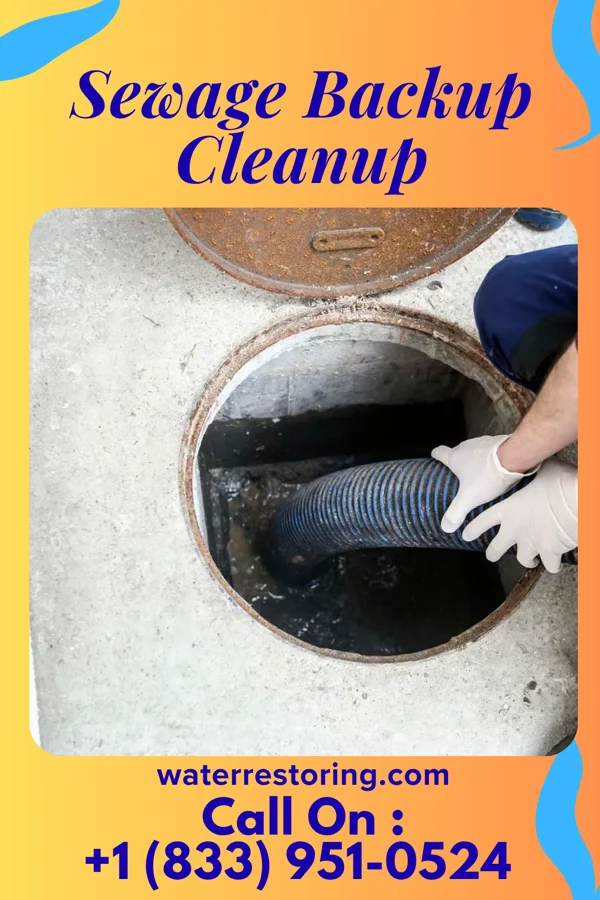 Sewage Backup Cleanup in Hillsborough, NC
