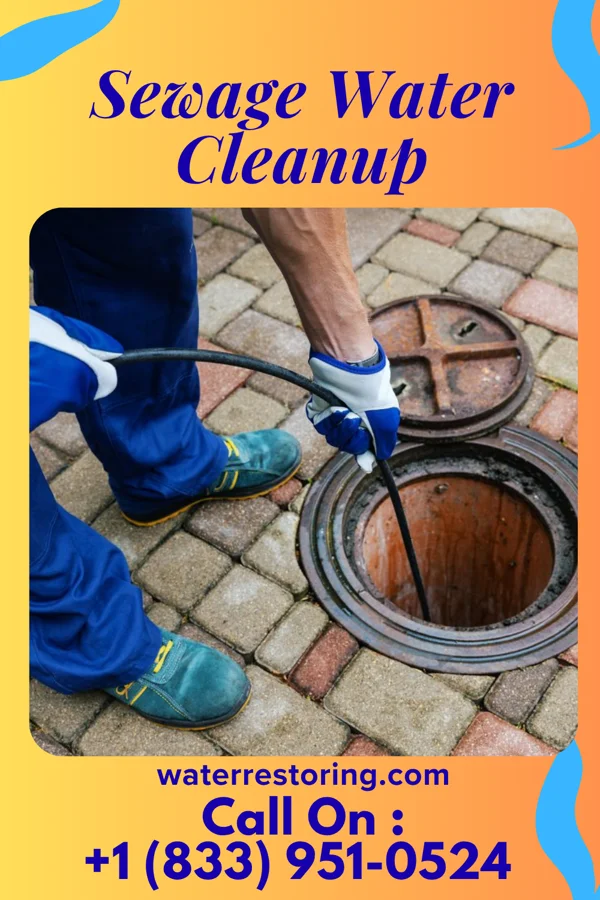 Sewage Water Cleanup in Hillsborough, NC