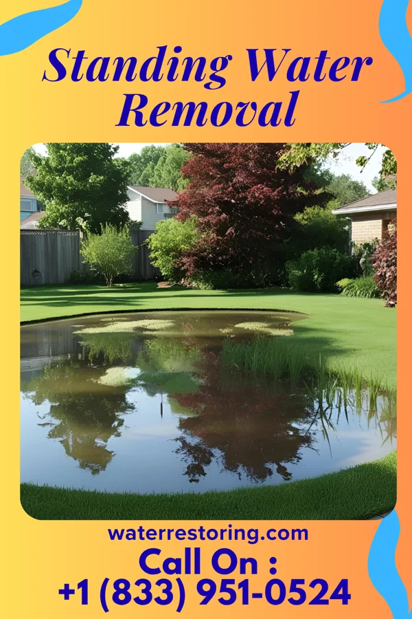 Standing Water Removal in Hillsborough, NC